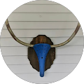 B Davis Avatar